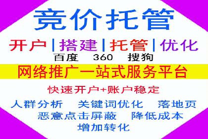 SEM竞价推广案例：打造行业领先的广告投放策略